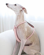 Essential Harness PINK