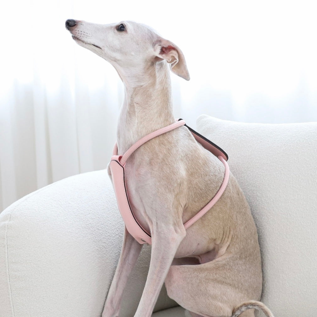 Essential Harness_PINK