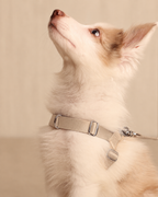 [NEW] Bridle Harness BEIGE