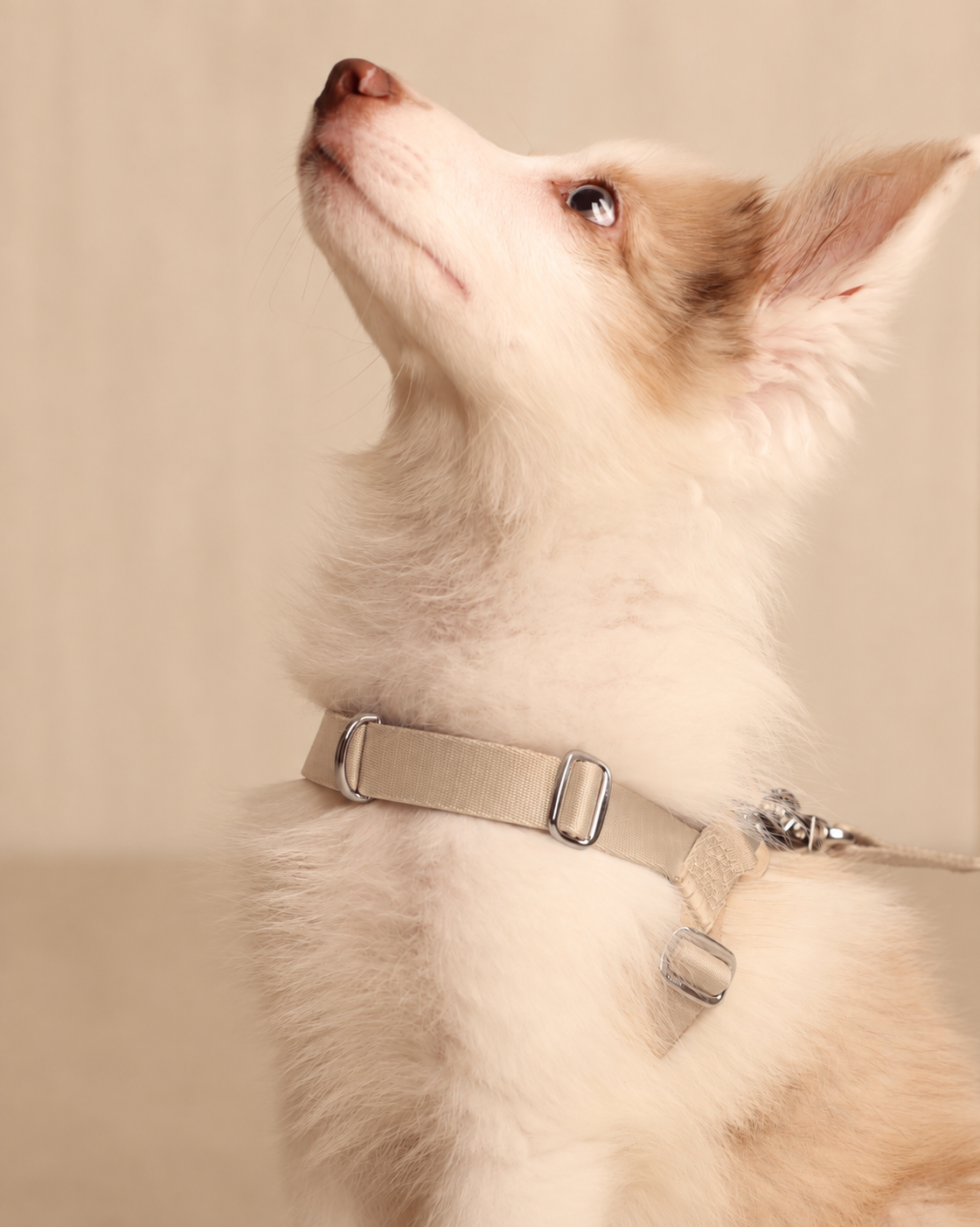 [NEW] Bridle Harness BEIGE
