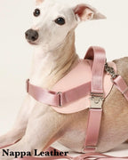 Saddle Harness PINK