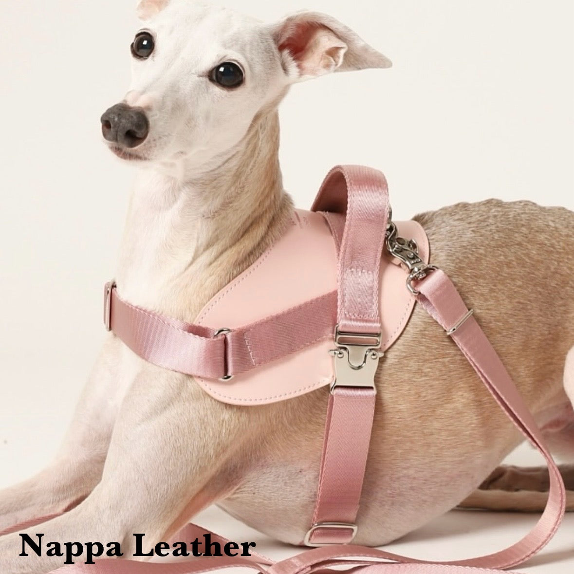 Saddle Harness_PINK