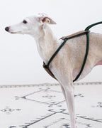 Essential Harness DEEP GREEN
