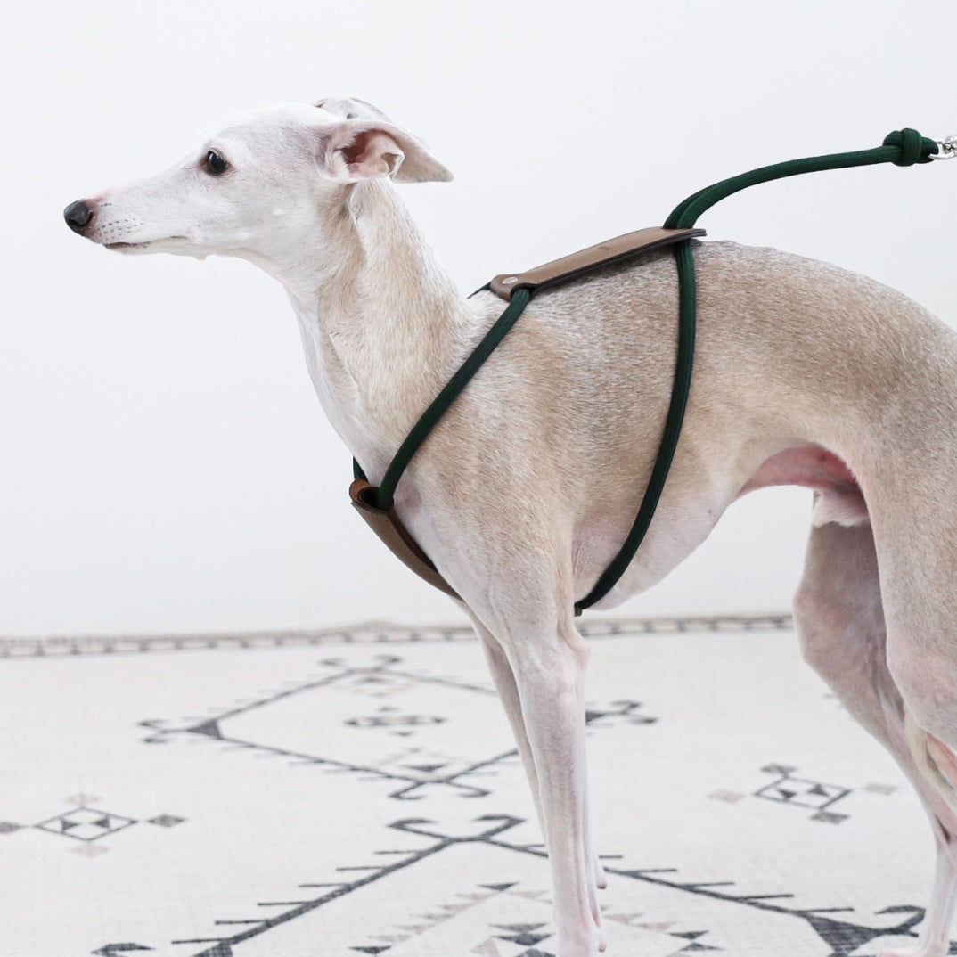 Essential Harness_DEEP GREEN