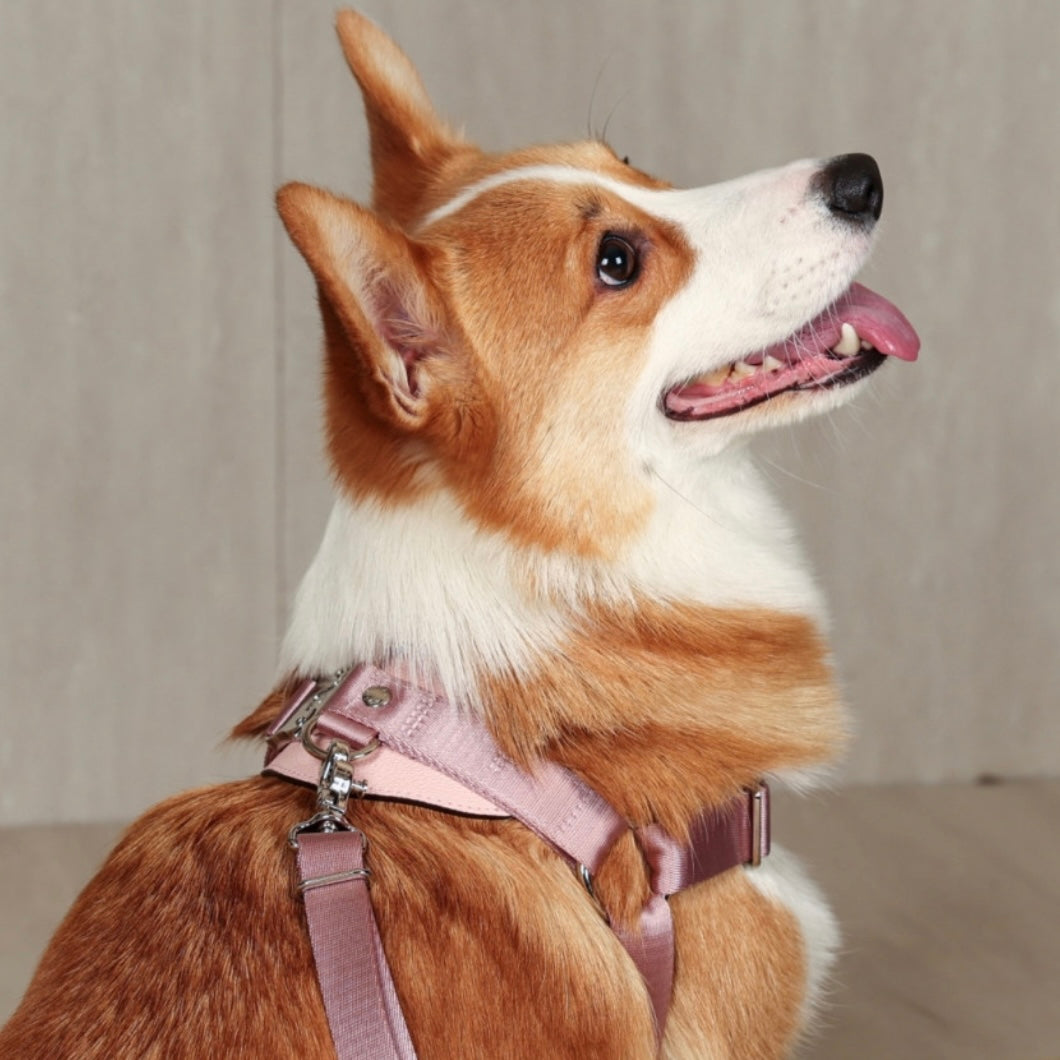 Horsebit Harness_PINK