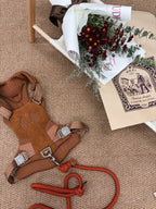 [NEW] Artisan Harness CAMEL