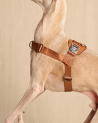 [NEW] Bridle Harness CAMEL