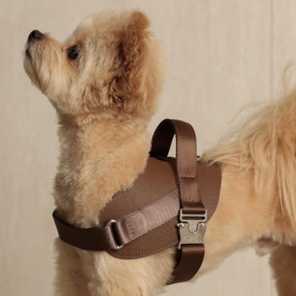 Saddle Harness_MOCHA