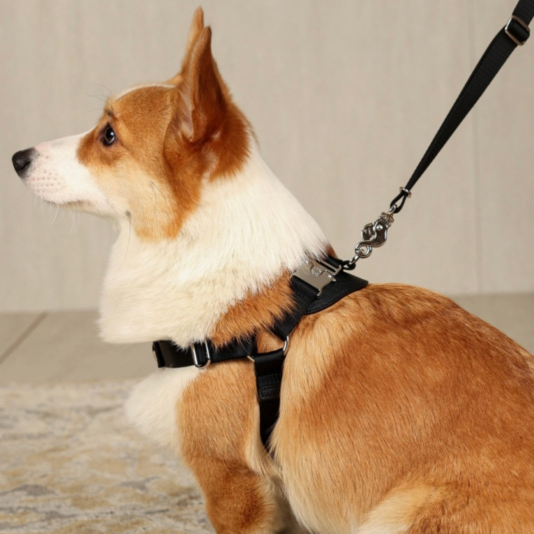 Horsebit Harness_BLACK