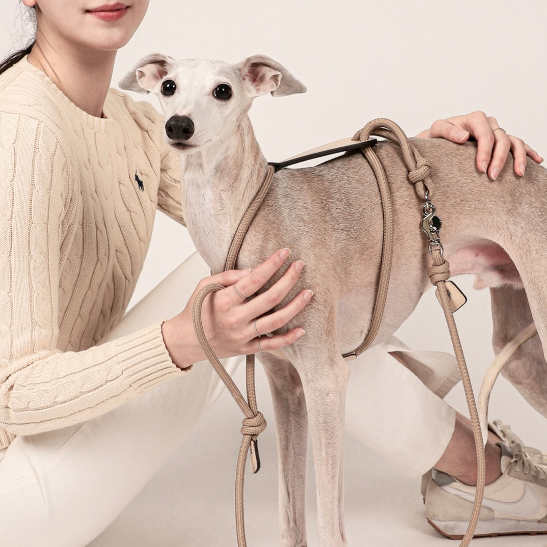 Essential Harness_BEIGE