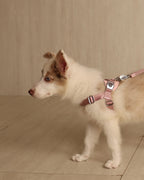 [NEW] Bridle Harness PINK