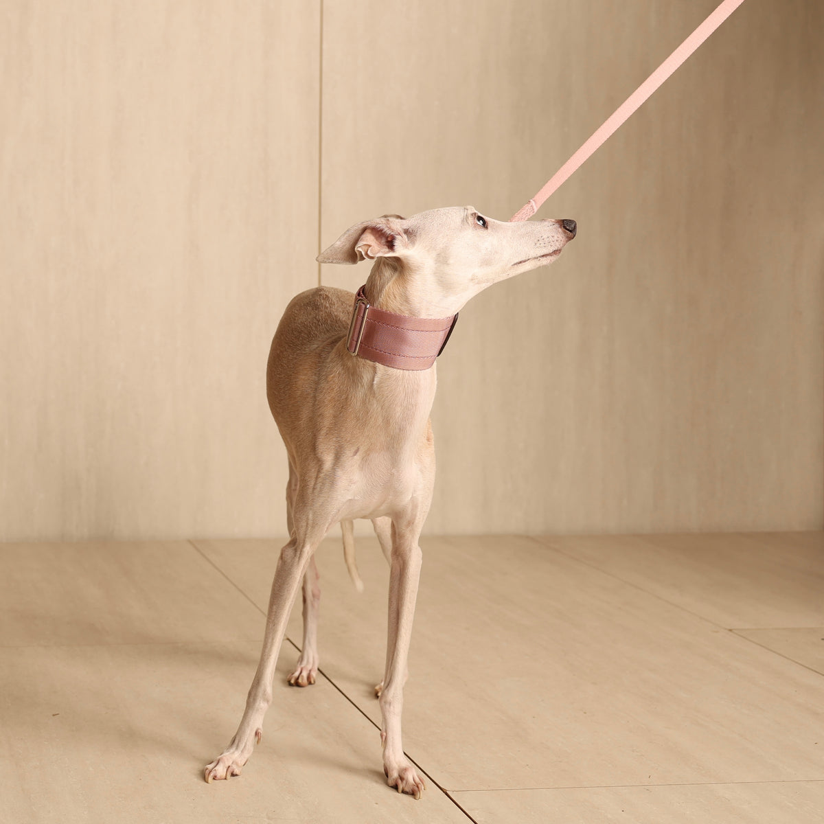 Wide Martingale_PINK
