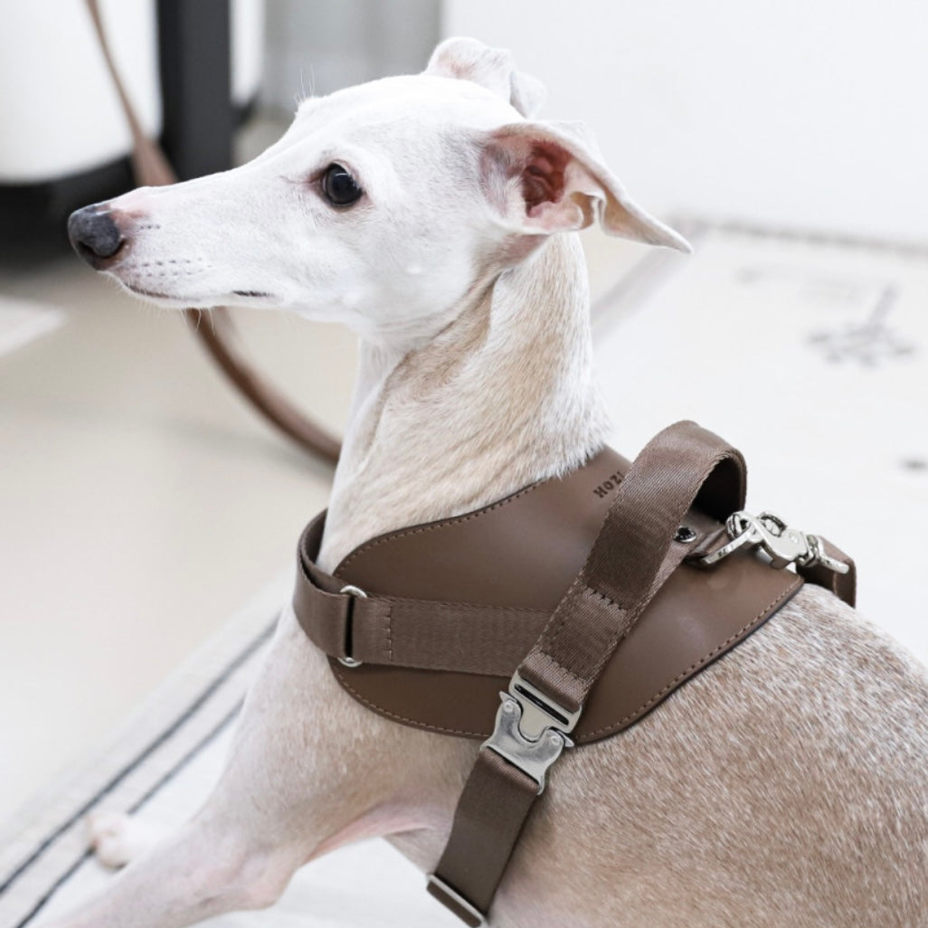 Saddle Harness_MOCHA