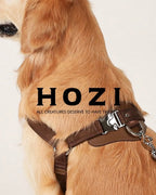 Horsebit Harness MOCHA