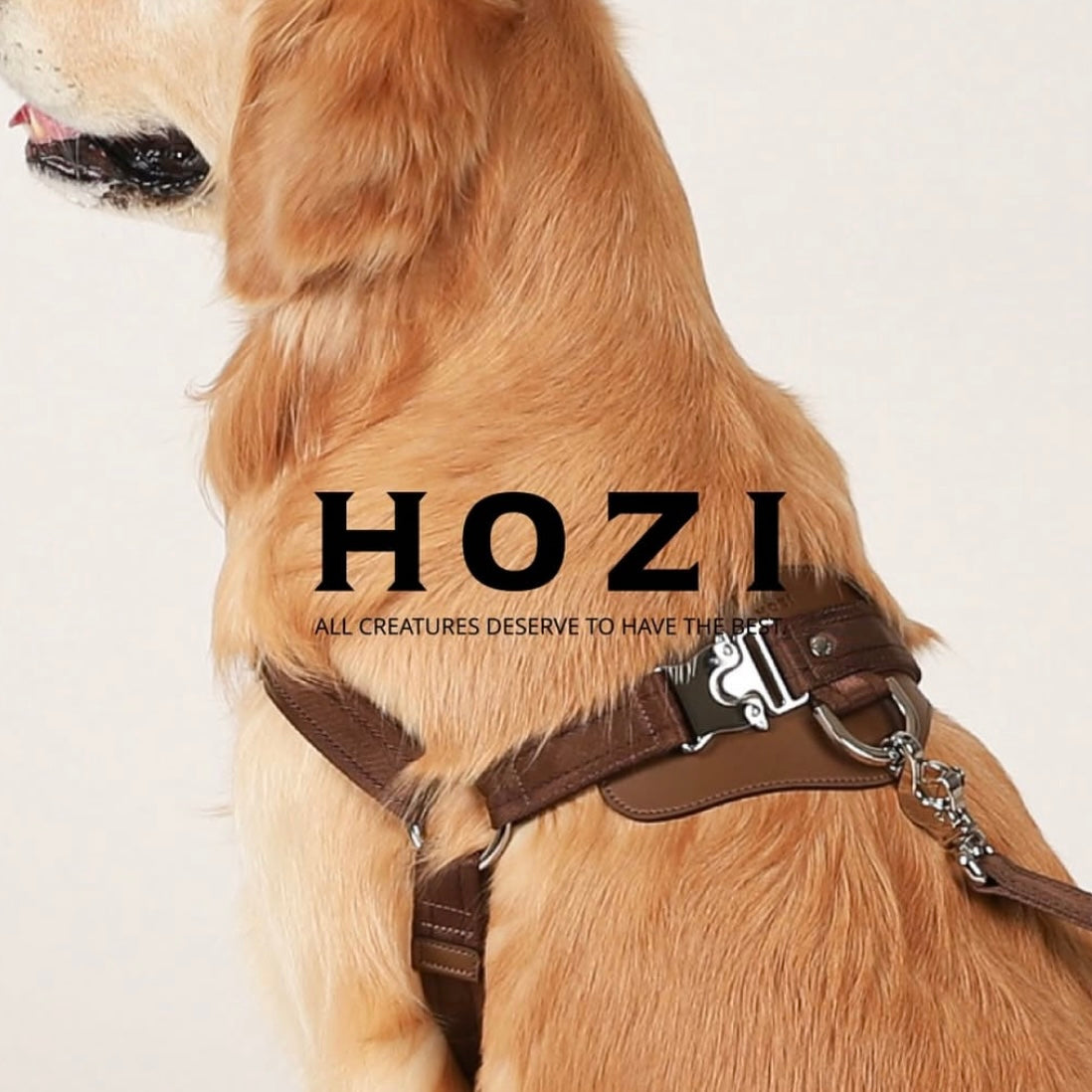 Horsebit Harness_MOCHA