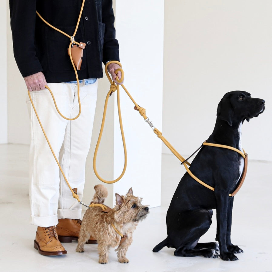 Essential Harness_MUSTARD