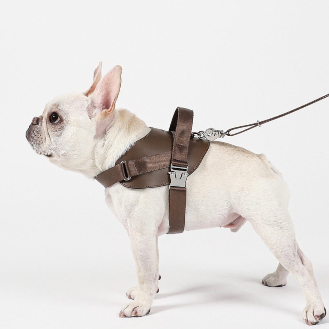 Saddle Harness_MOCHA