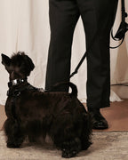 Horsebit Harness BLACK