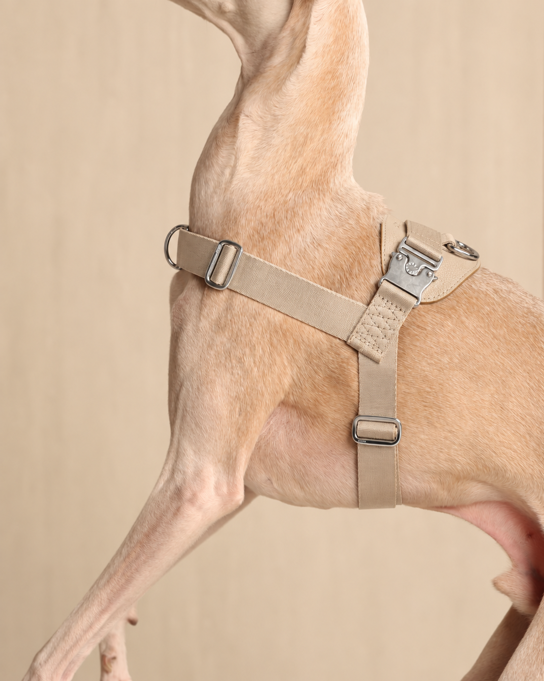 [NEW] Bridle Harness BEIGE
