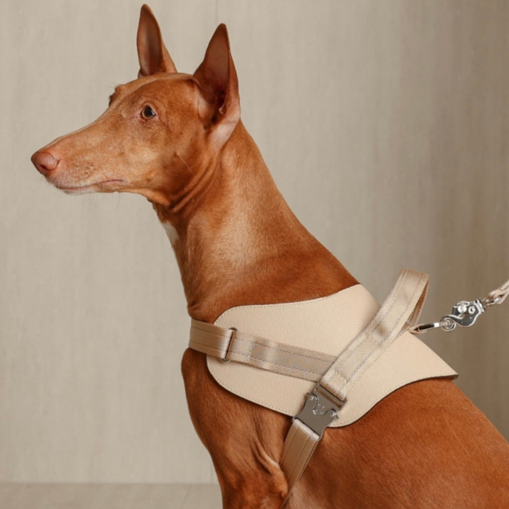 Saddle Harness_BEIGE
