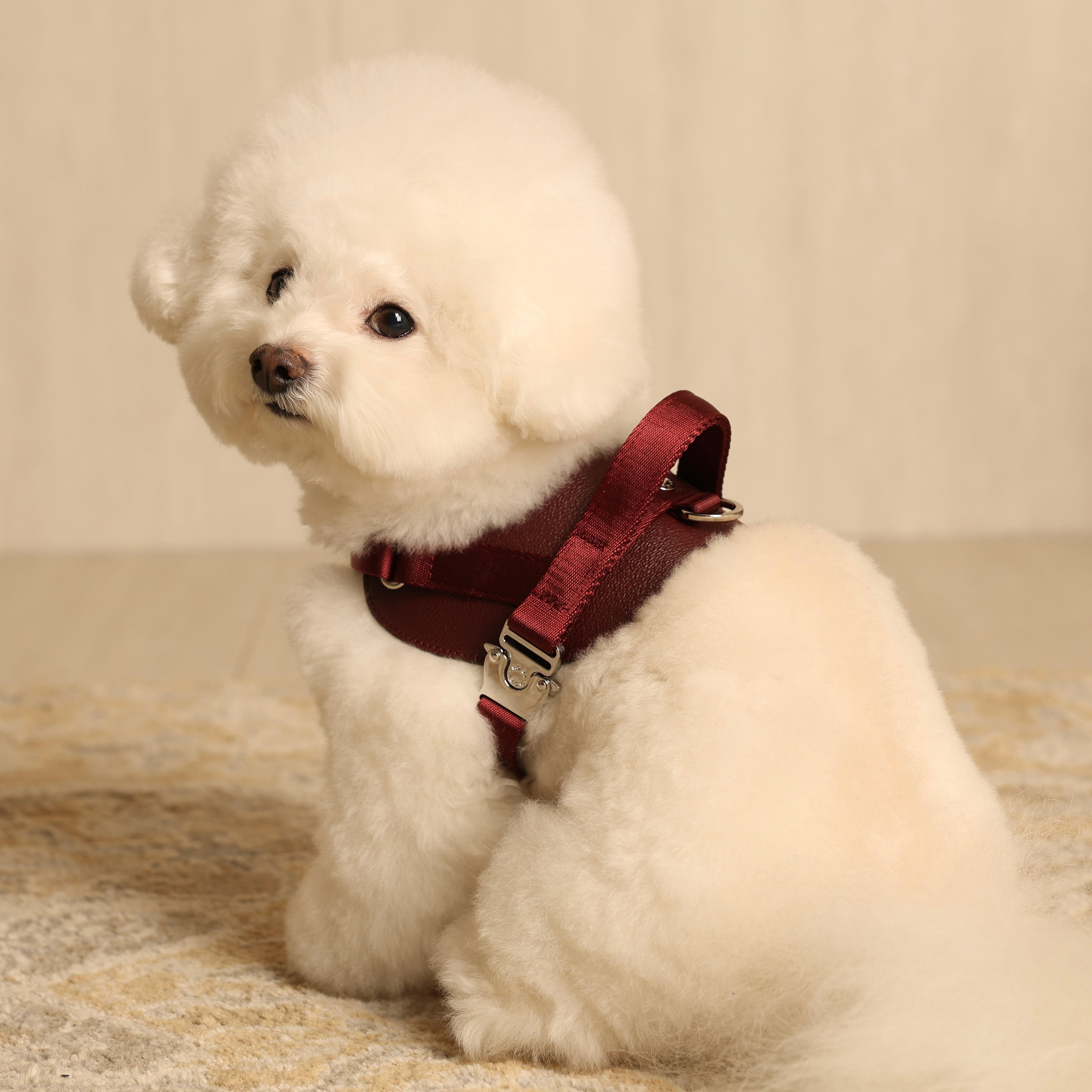 Saddle Harness_BURGUNDY