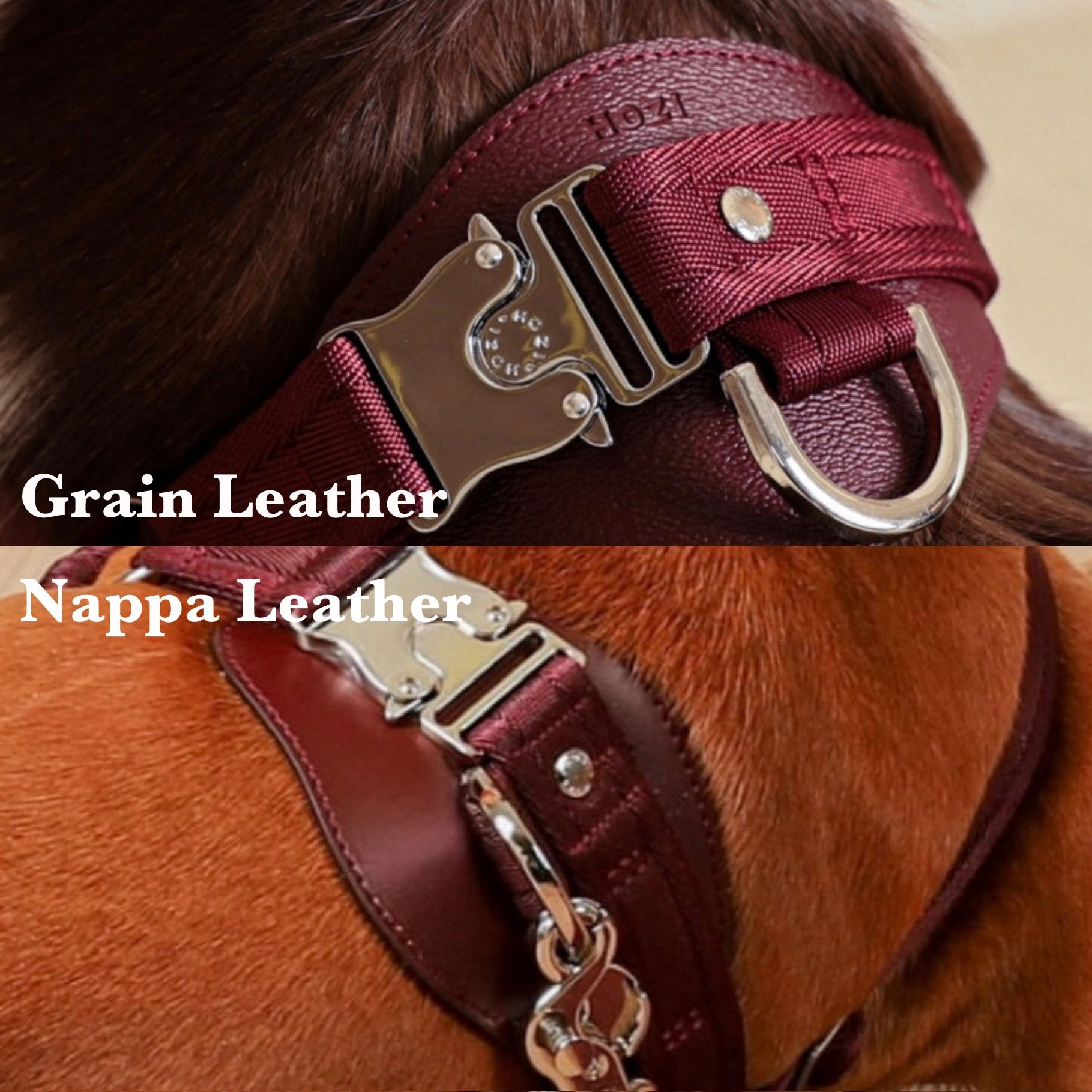 Horsebit Harness_BURGUNDY