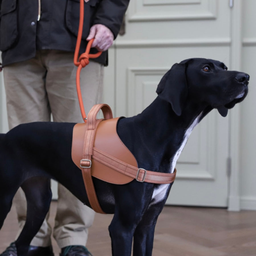 Saddle Harness_CAMEL