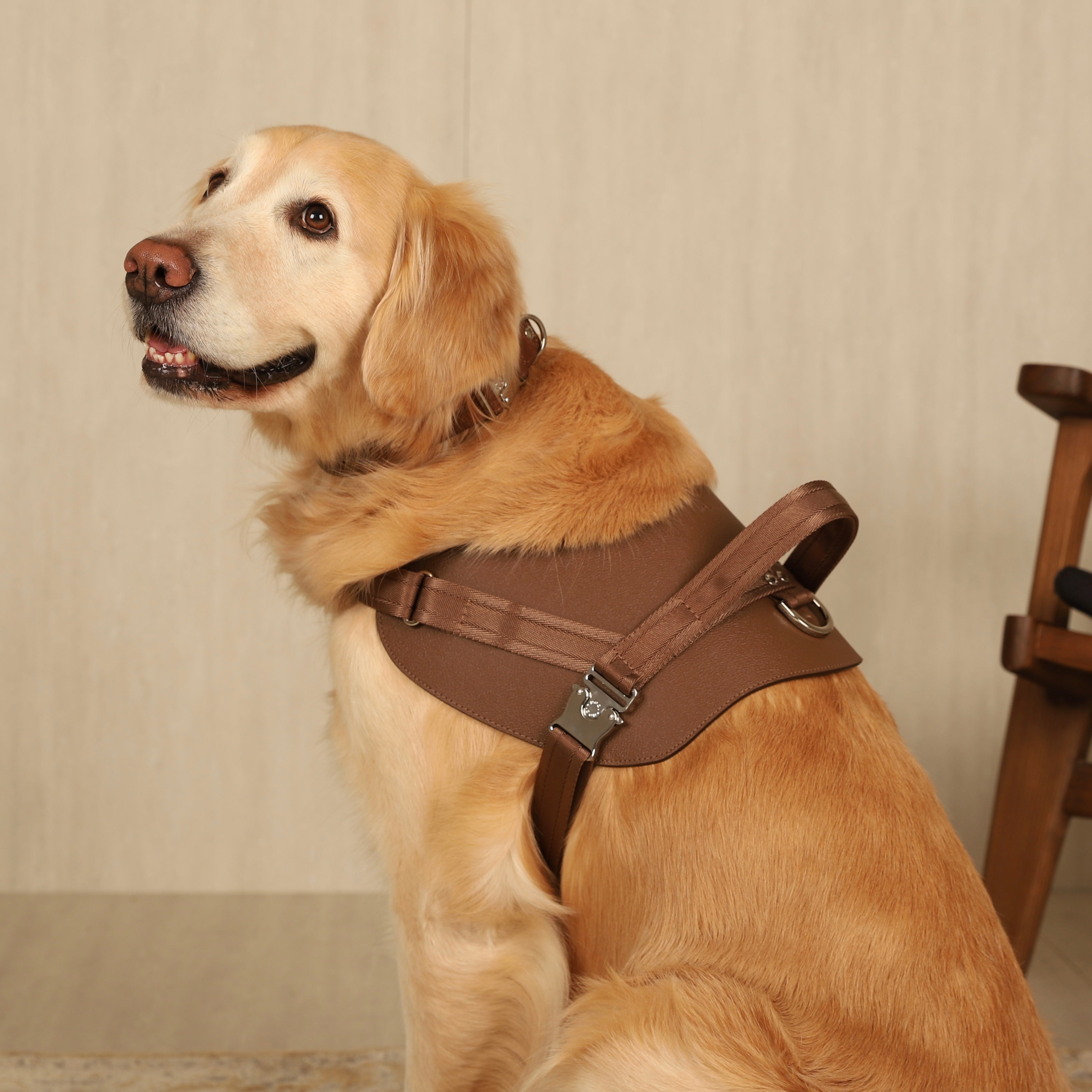 Saddle Harness_MOCHA