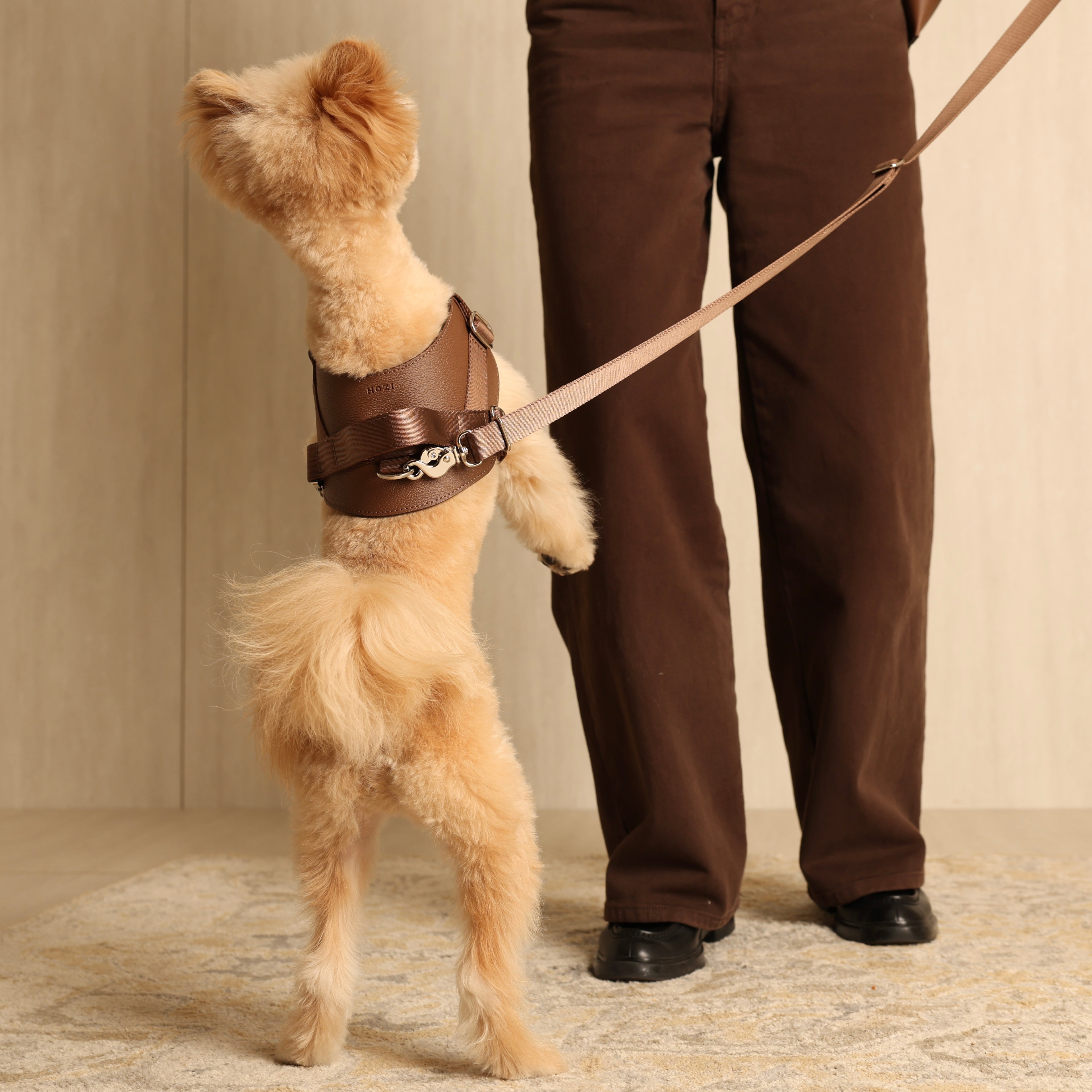 Saddle Harness_MOCHA