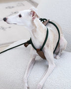 Essential Harness DEEP GREEN