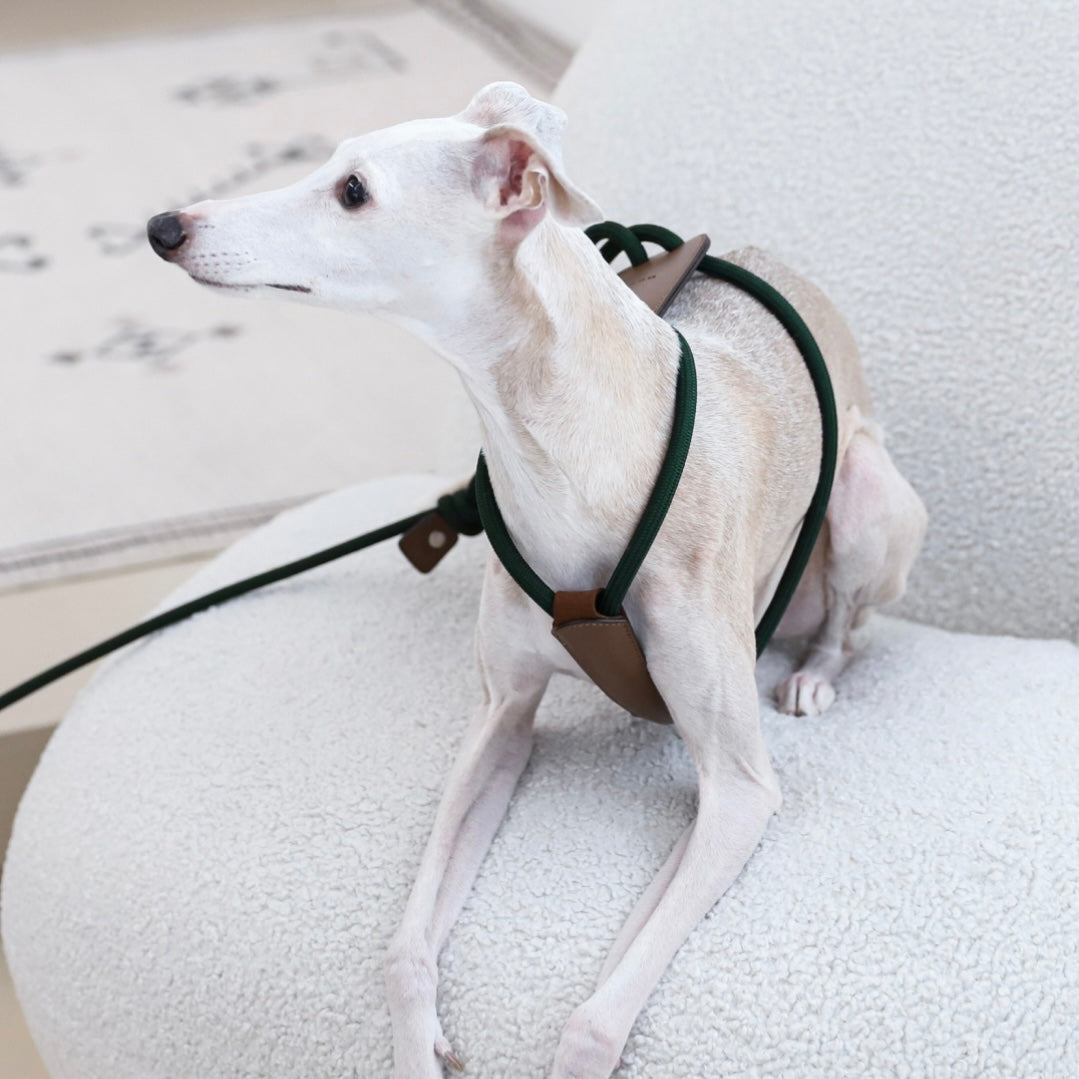 Essential Harness_DEEP GREEN