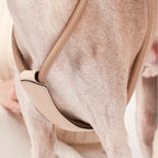 Essential Harness BEIGE
