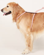 Essential Harness PINK