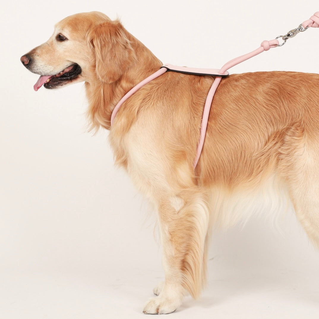 Essential Harness_PINK