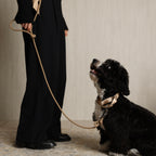 Martingale_BEIGE