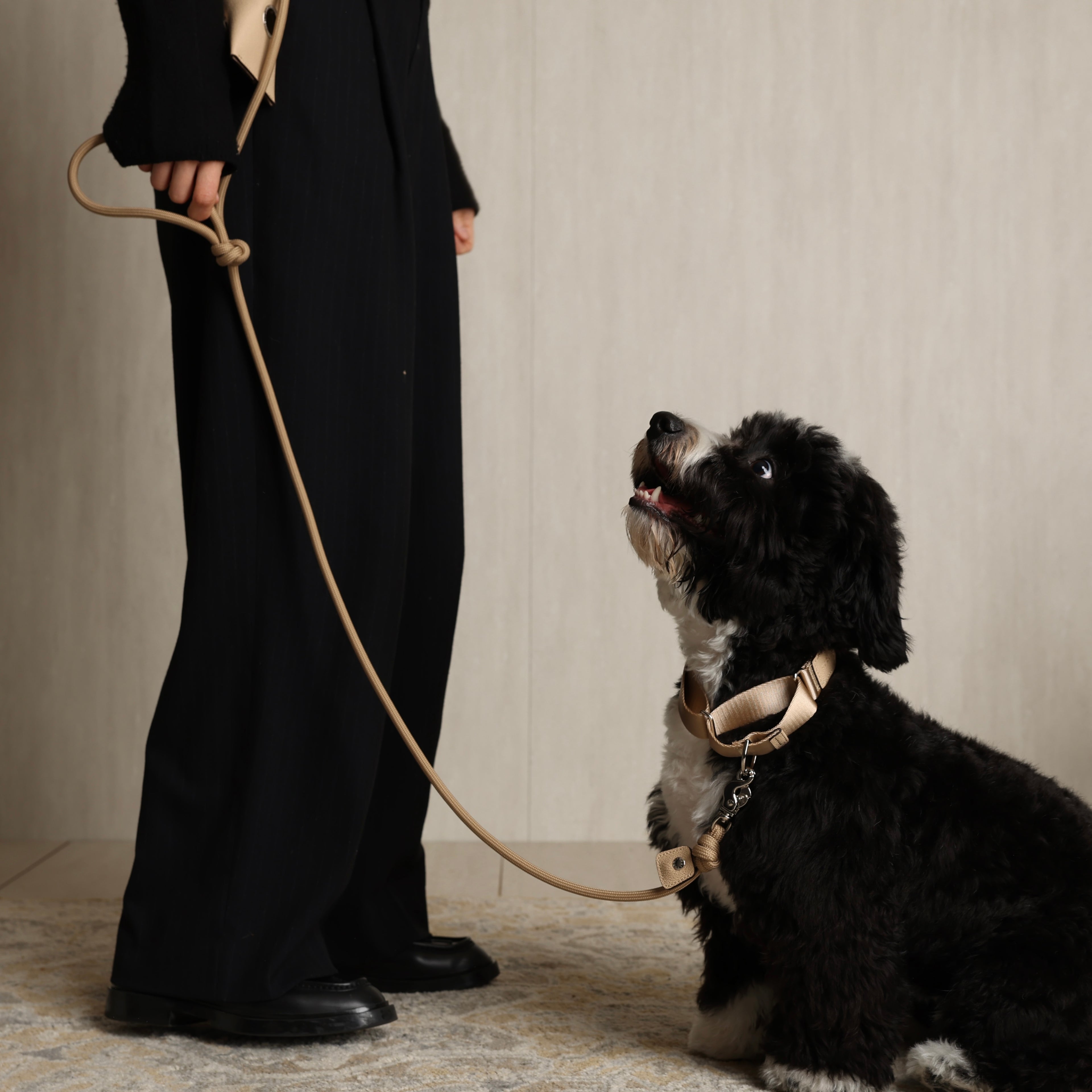 Martingale_BEIGE