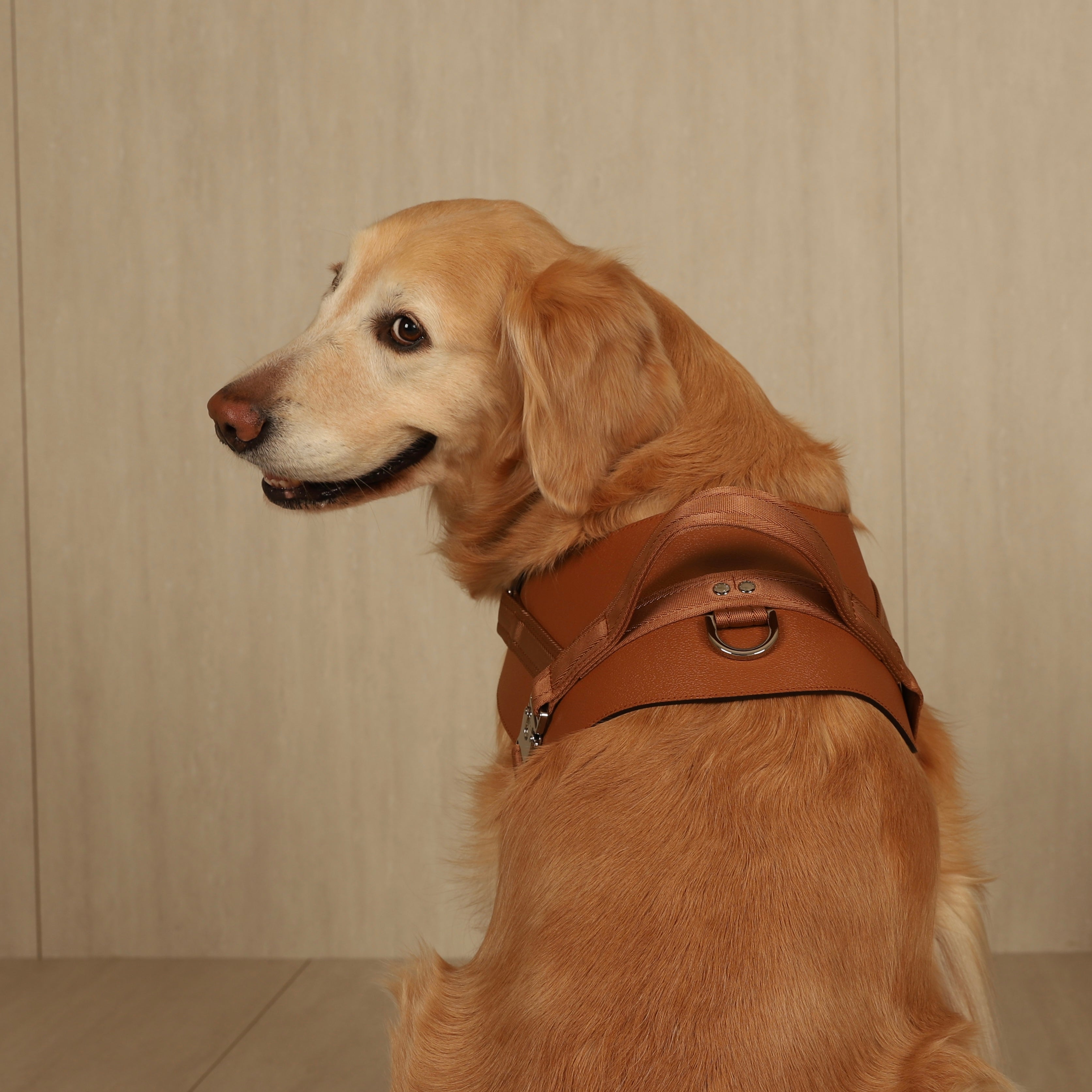 Saddle Harness_CAMEL