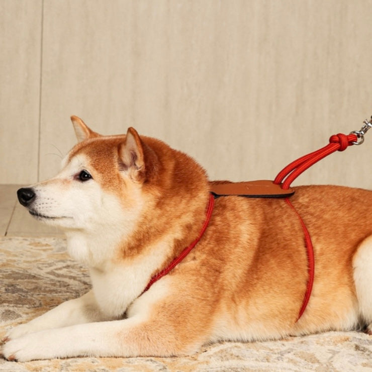 Essential Harness_ORANGE