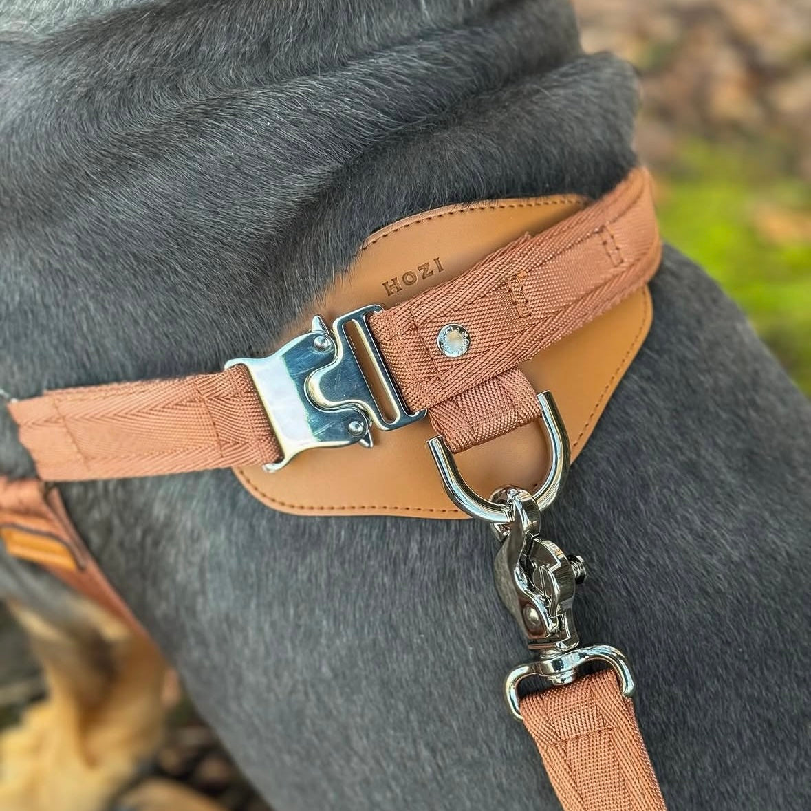 Horsebit Harness_CAMEL