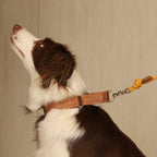 Martingale_CAMEL