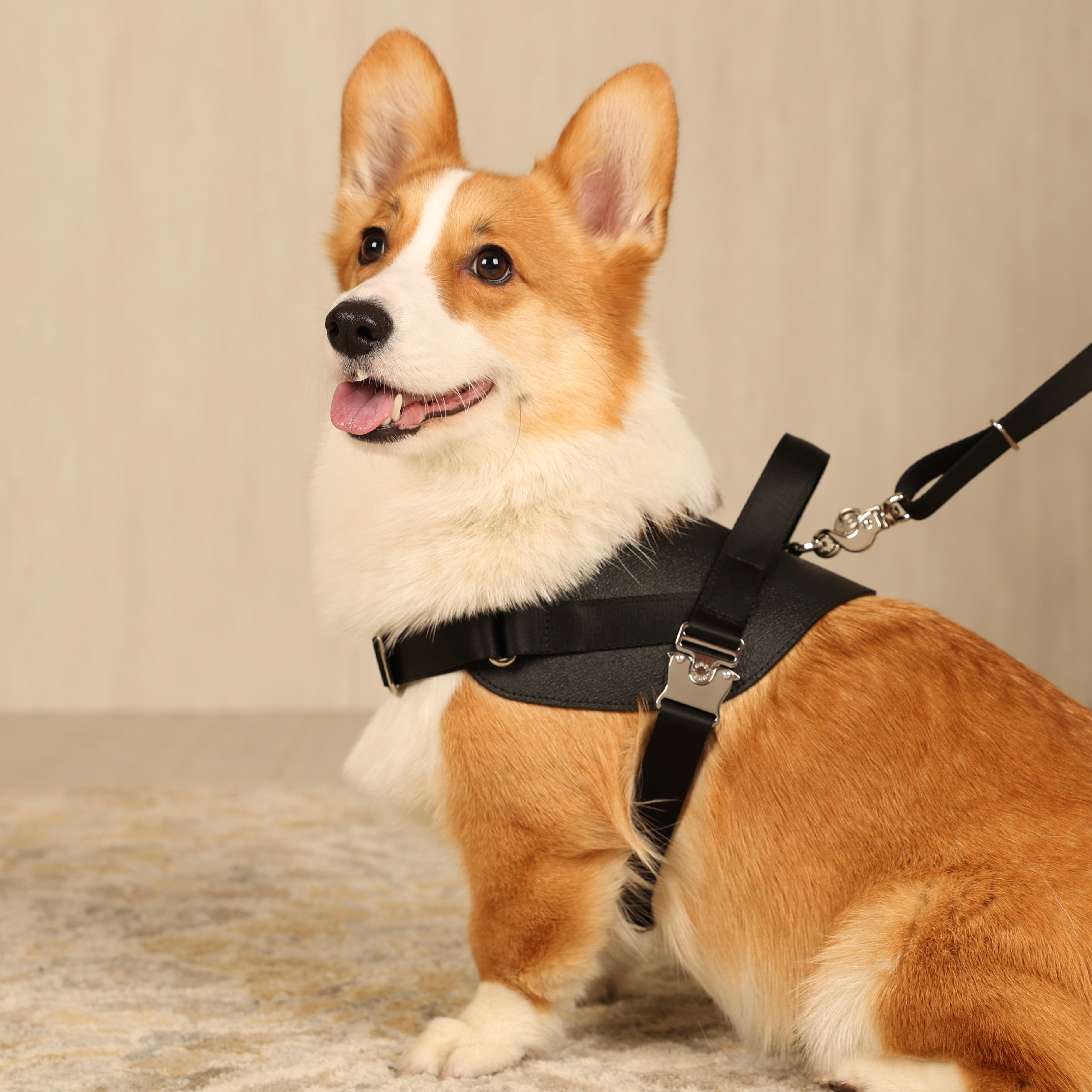 Saddle Harness_BLACK