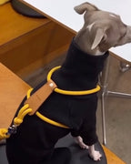 Essential Harness MUSTARD