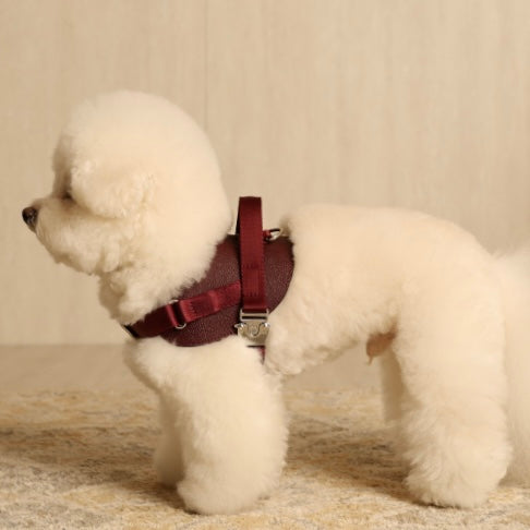 Saddle Harness_BURGUNDY