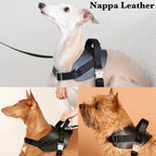 Saddle Harness BLACK