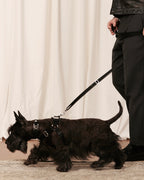 Horsebit Harness BLACK