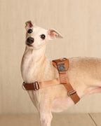 [NEW] Bridle Harness CAMEL