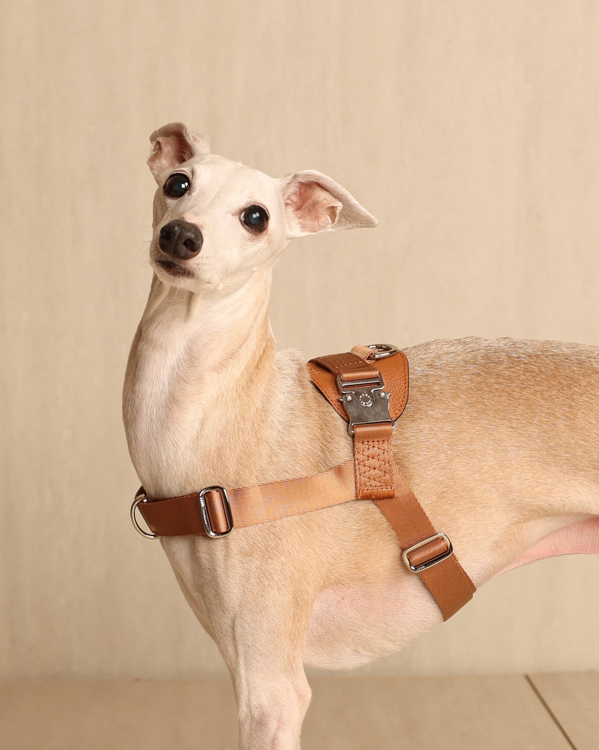 [NEW] Bridle Harness CAMEL