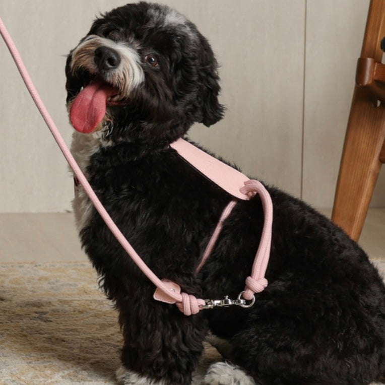 Essential Harness_PINK