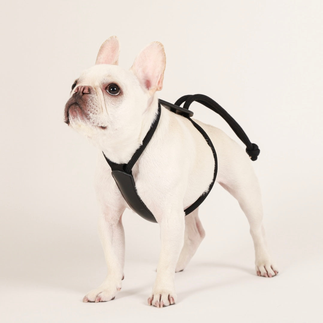Essential Harness_BLACK