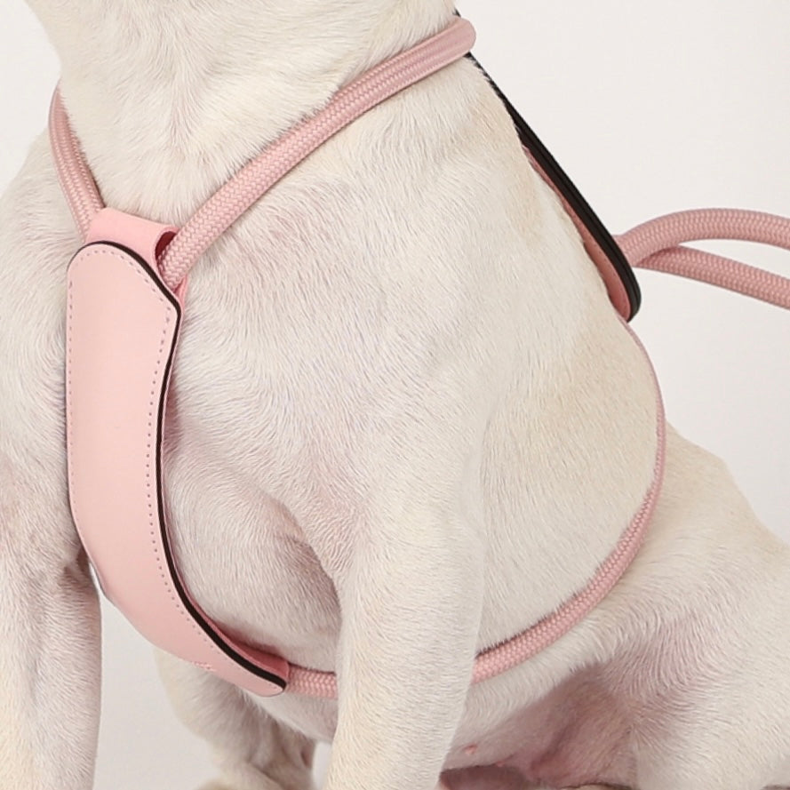Essential Harness_PINK